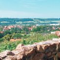 Blick auf Radebeul