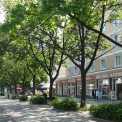 Borsbergstraße in Dresden