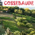 Cossebauder Bauernberge Cossebauder Bauernberge