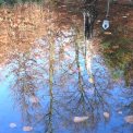 Dresdner Heide
