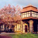Ferienwohnung Ferienhaus Freit