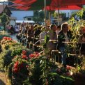 Gut Pesterwitz Herbst Weinfest Gut Pesterwitz Herbst Weinfest