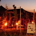 Gut Pesterwitz, Tag des offenen Weinberges Gut Pesterwitz, Tag des offenen Weinberges