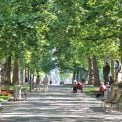Hauptstraße Dresden