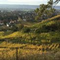 Herbstlandschaft Goldener Wagen Herbstlandschaft Goldener Wagen