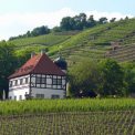 Hoflößnitz Radebeul
