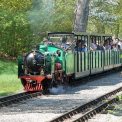 Kleinbahn im Großen Garten Kleinbahn im Großen Garten