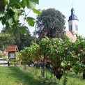 Pesterwitz