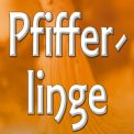 Pfifferlingzeit Neumanns Dampfschiff