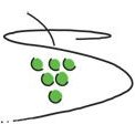 Sachsen Weinbauverband Sachsen Weinbauverband