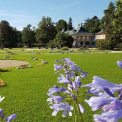 Schlosspark Pillnitz 2016 Schlosspark Pillnitz 2016