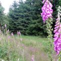Wandern im Erzgebirge
