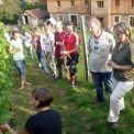 Weinprobe Mariaberg Weinprobe Mariaberg