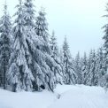 Winterlandschaft in Oberbärenburg