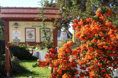 Tag des offenen Weinberges in Pesterwitz